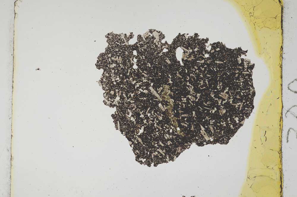 Plane Polarized, S301