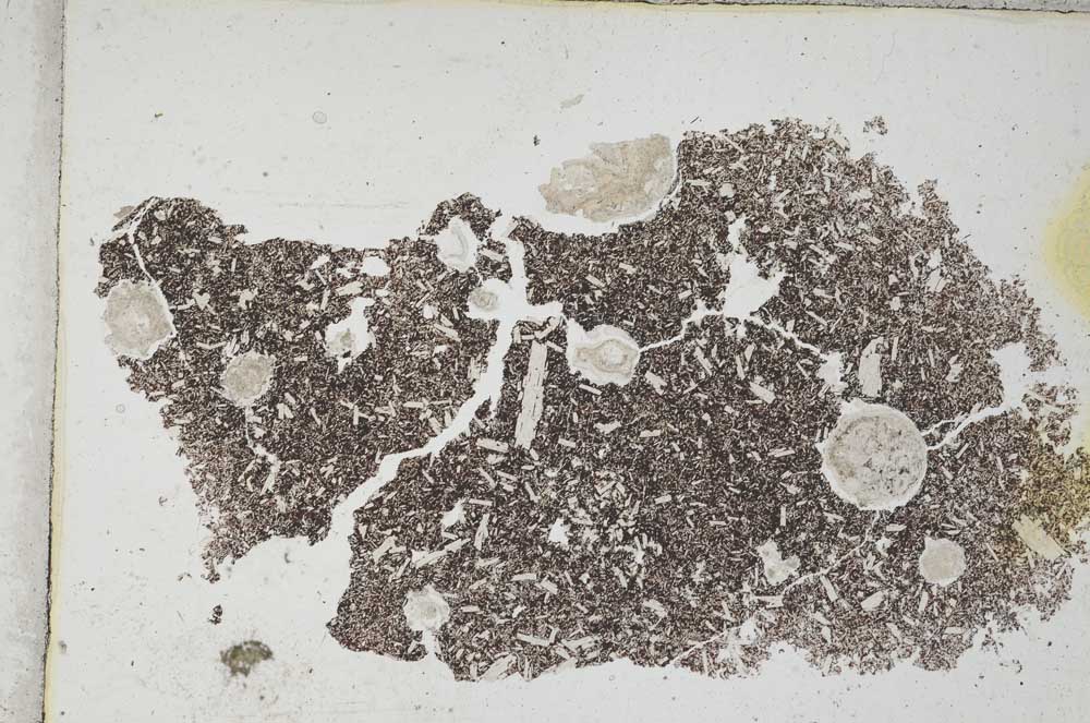 Plane Polarized, S302