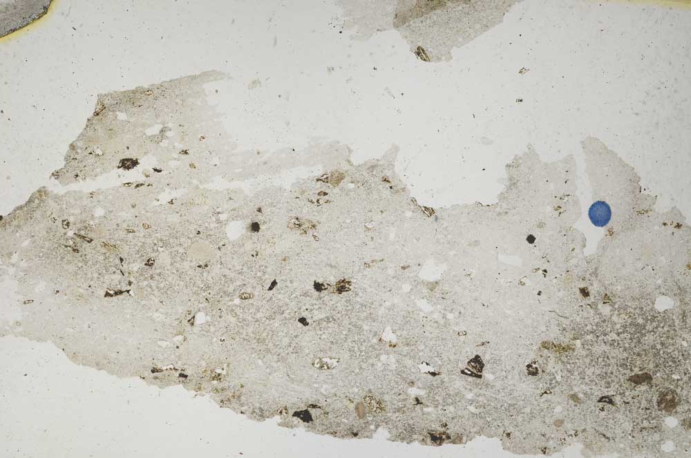 Plane Polarized, S304