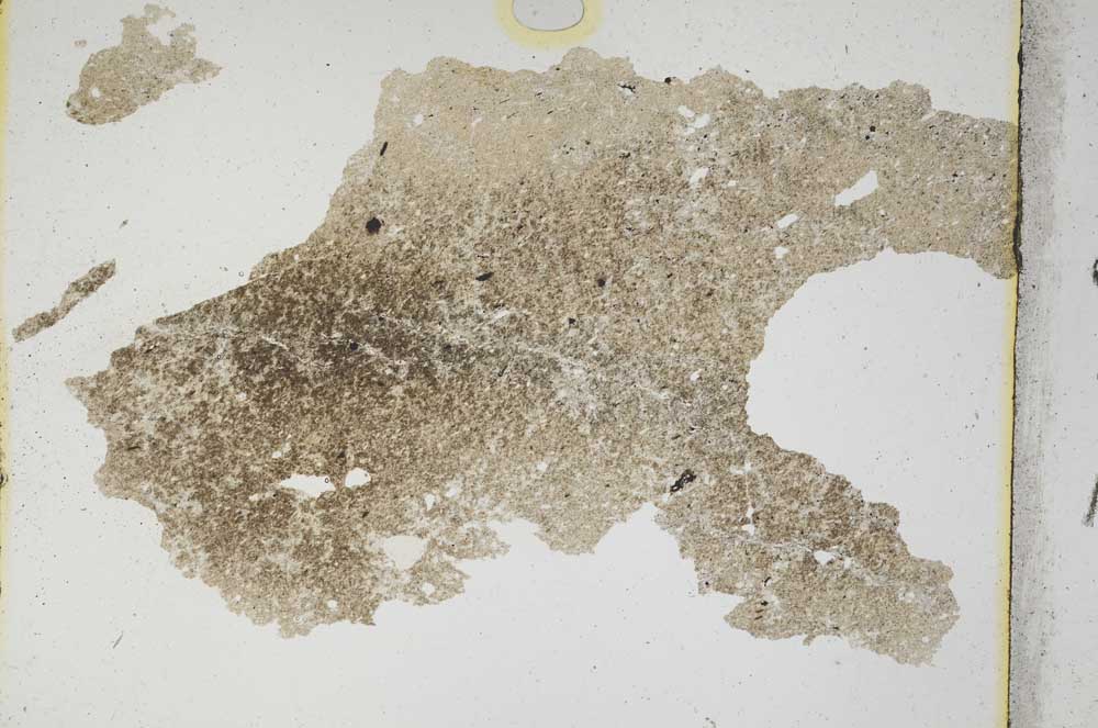 Plane Polarized, S308