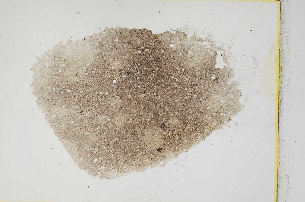 Plane Polarized, S311