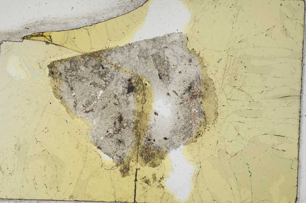 Plane Polarized, S312