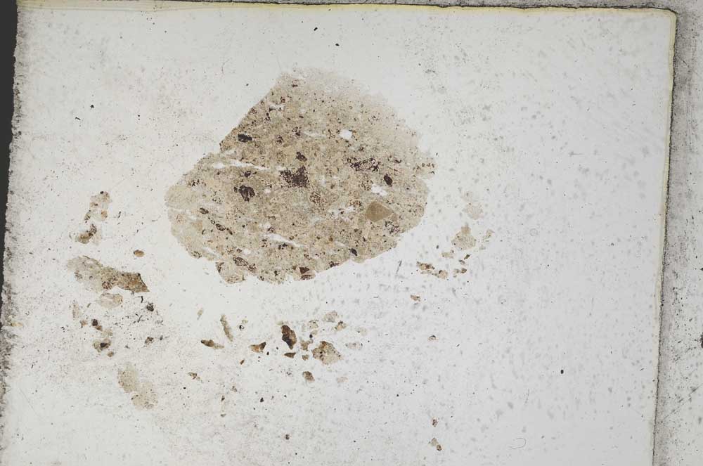 Plane Polarized, S316