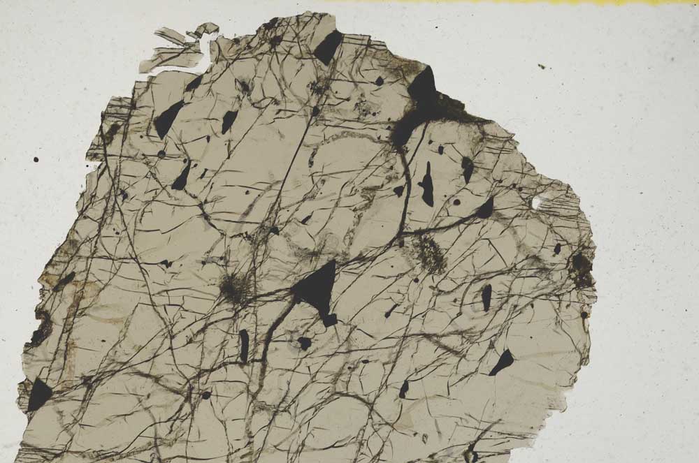 Plane Polarized, S329