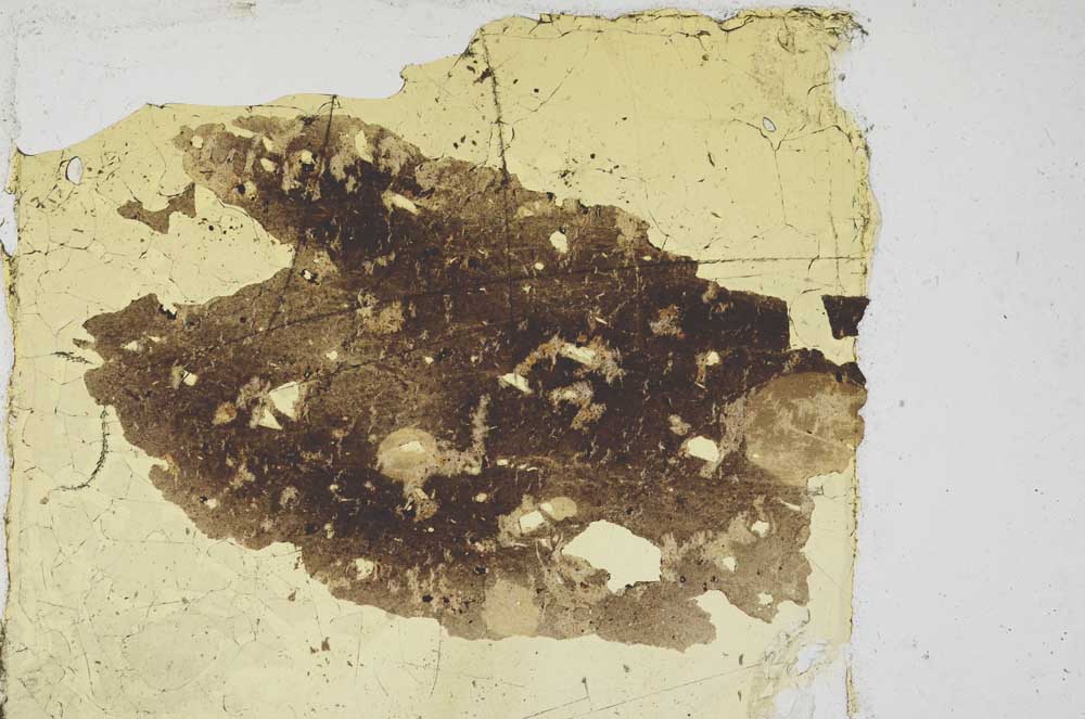 Plane Polarized, S361