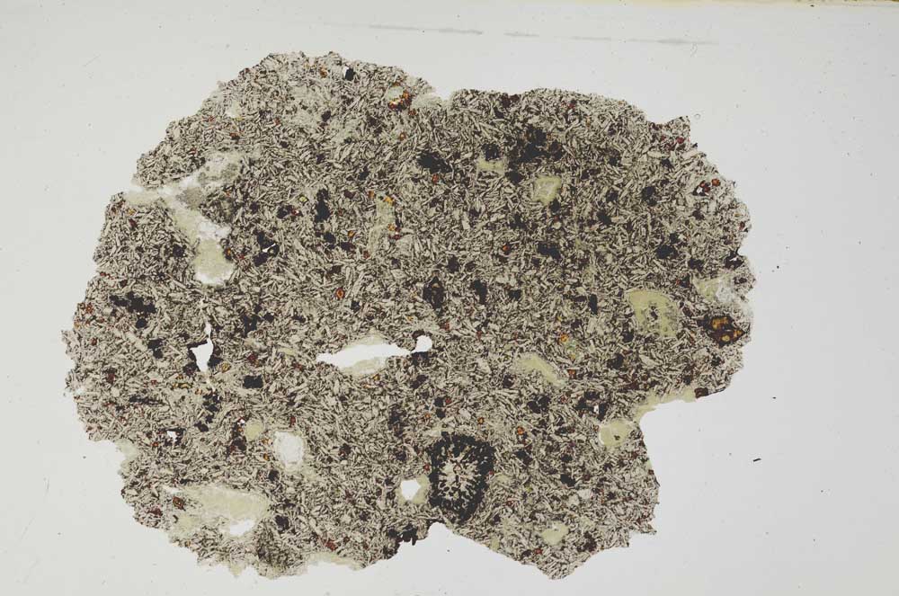 Plane Polarized, S368