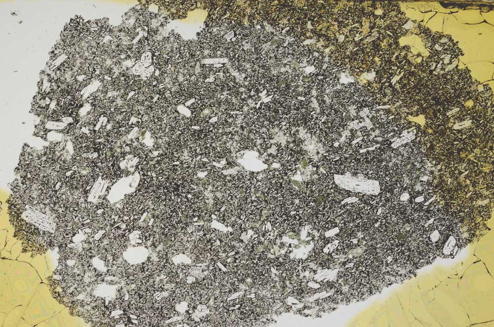 Plane Polarized, S388