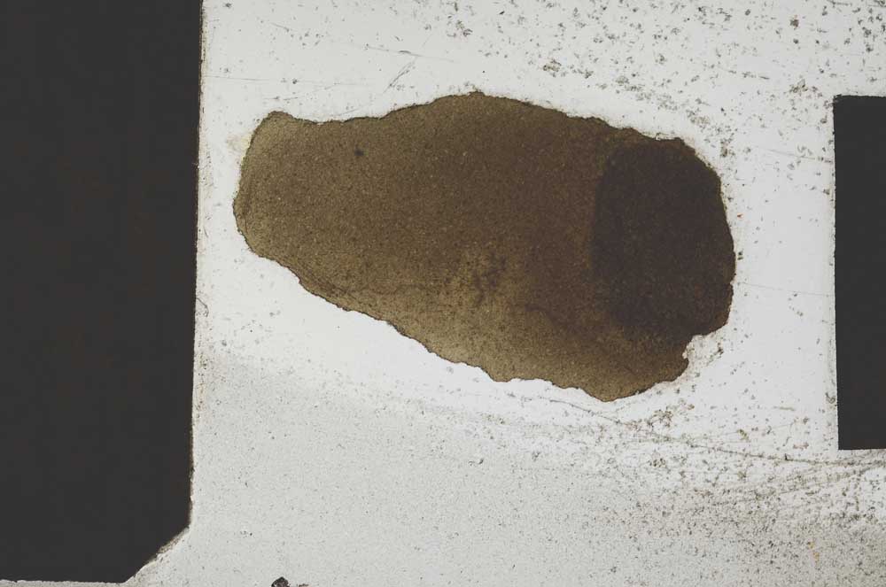 Plane Polarized, S396