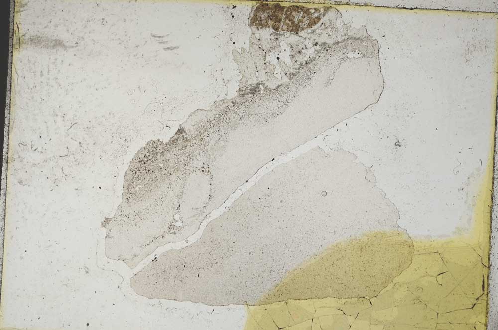 Plane Polarized, S8887