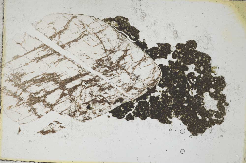 Plane Polarized, S8899