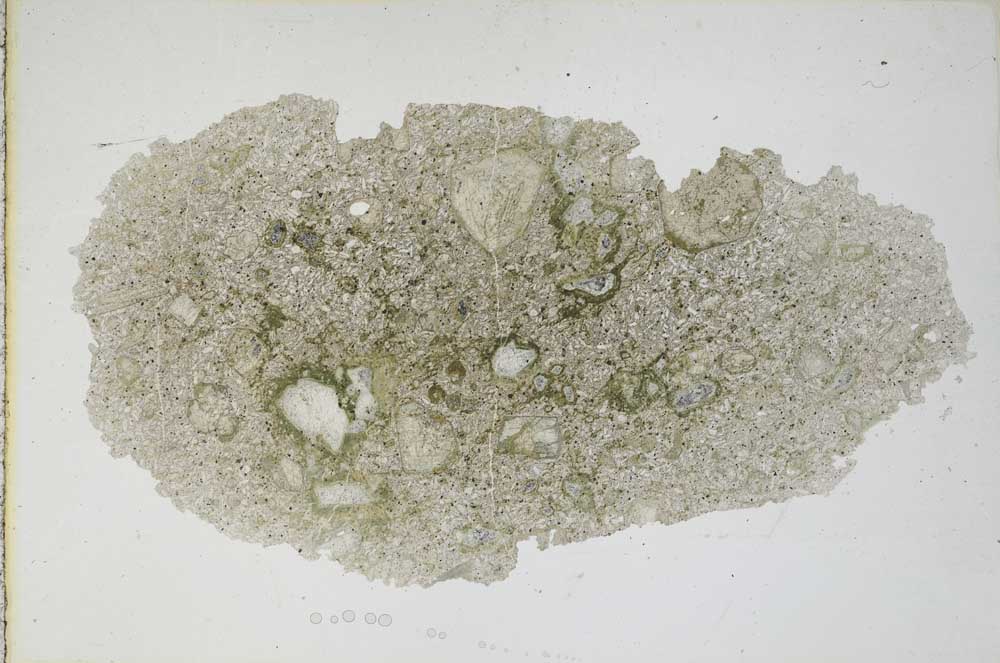 Plane Polarized, S8944