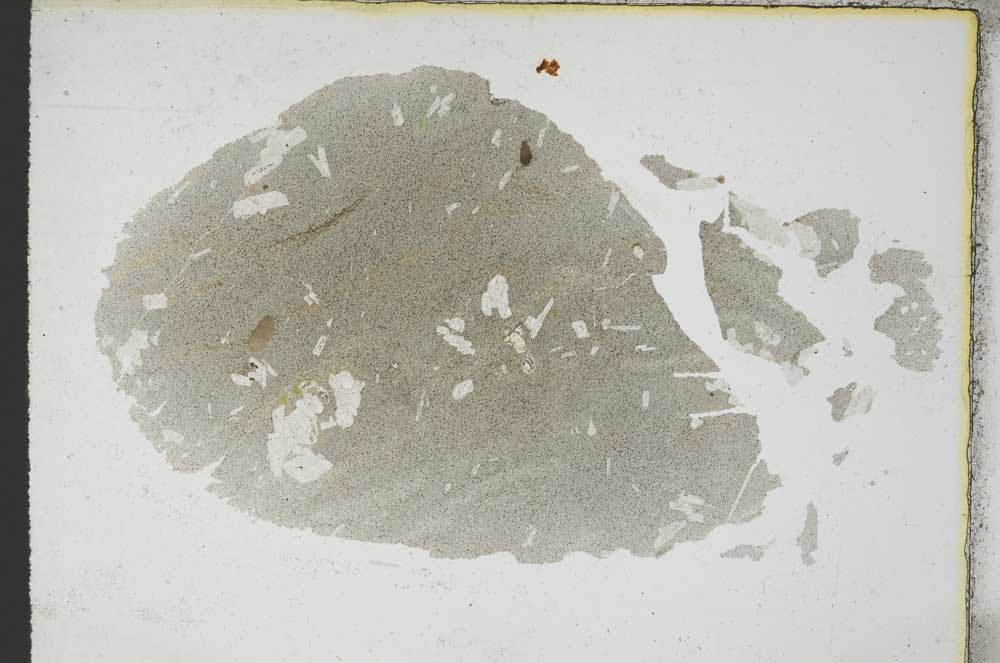 Plane Polarized, S8955