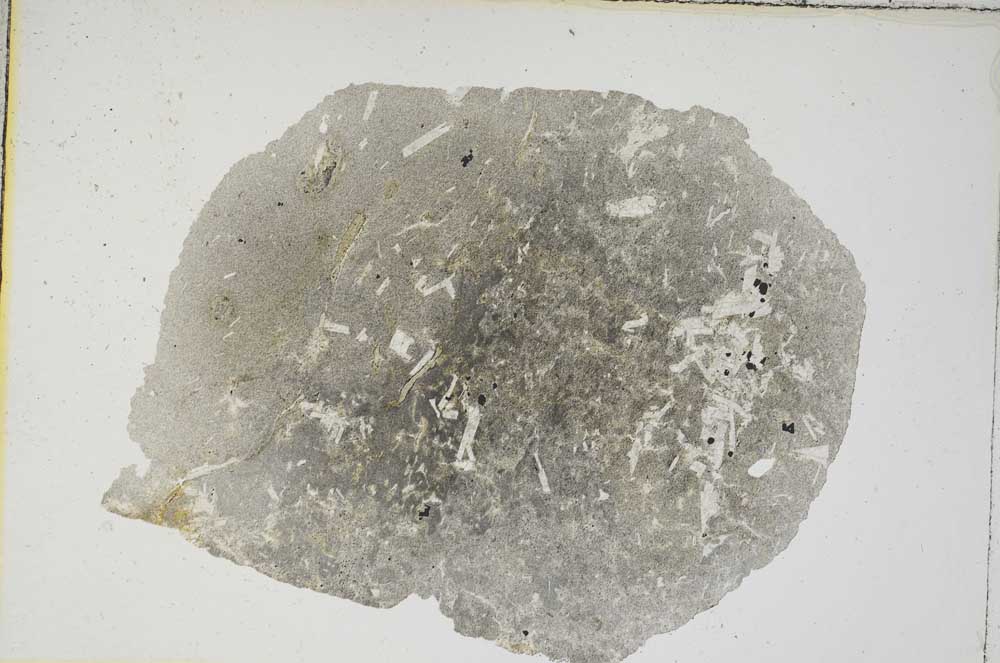 Plane Polarized, S8958