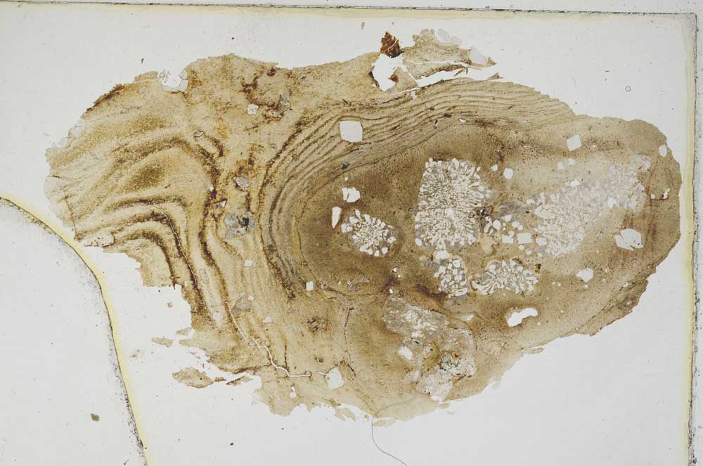 Plane Polarized, S8971