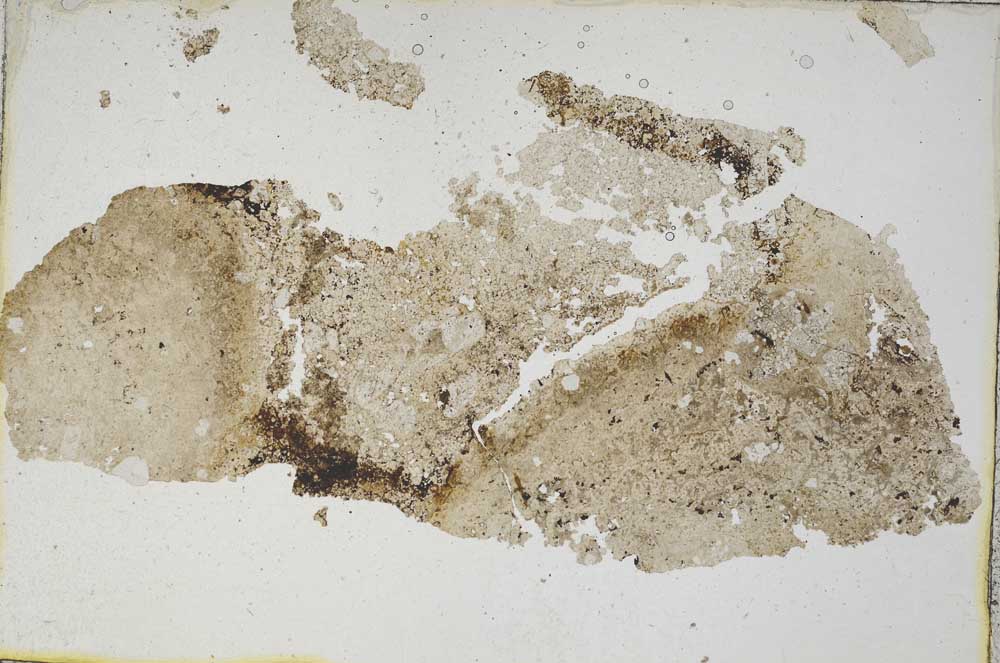 Plane Polarized, S8972