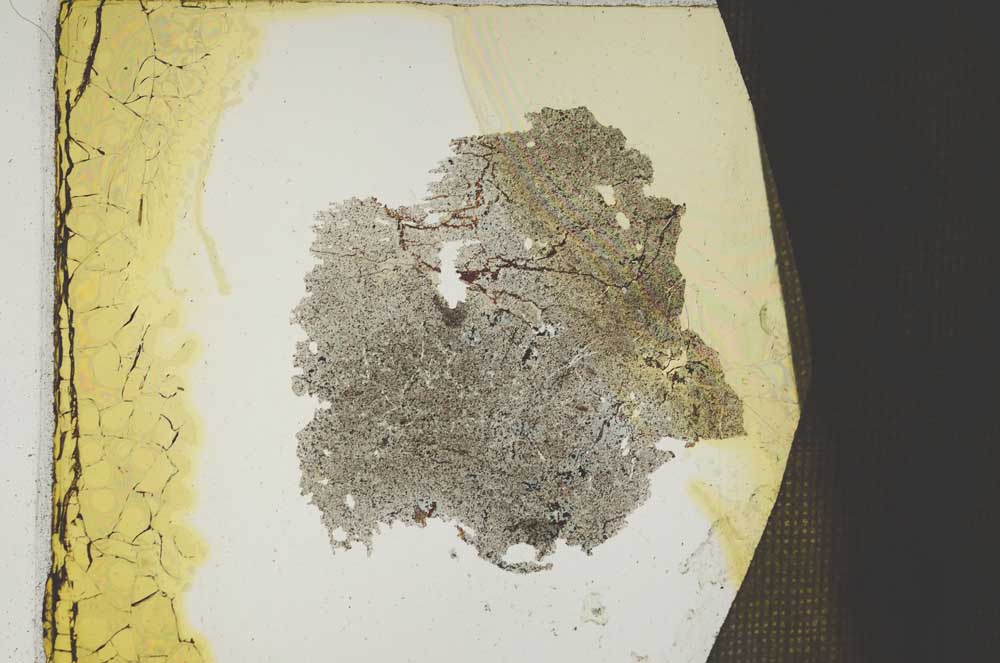 Plane Polarized, S426