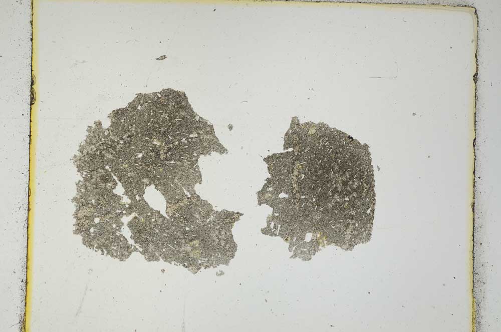 Plane Polarized, S449