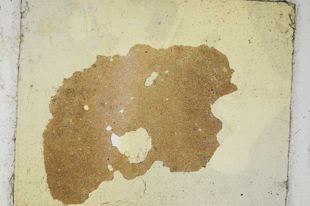Plane Polarized, S469