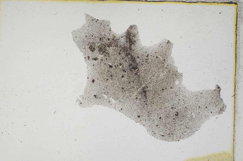 Plane Polarized, S493