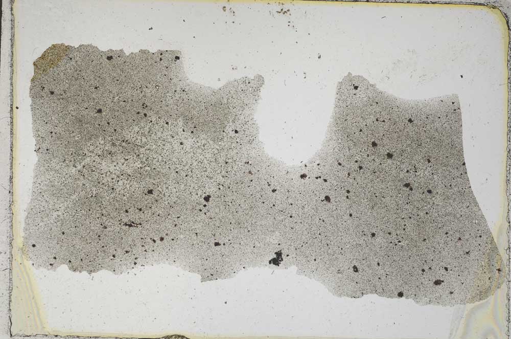 Plane Polarized, S493/D