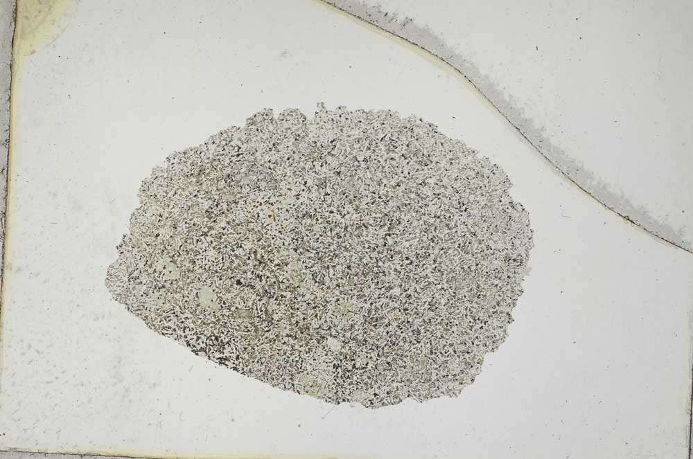 Plane Polarized, S9112