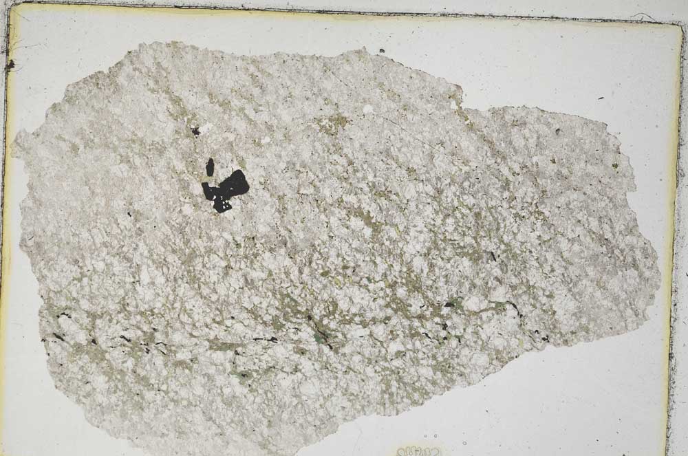 Plane Polarized, S9186