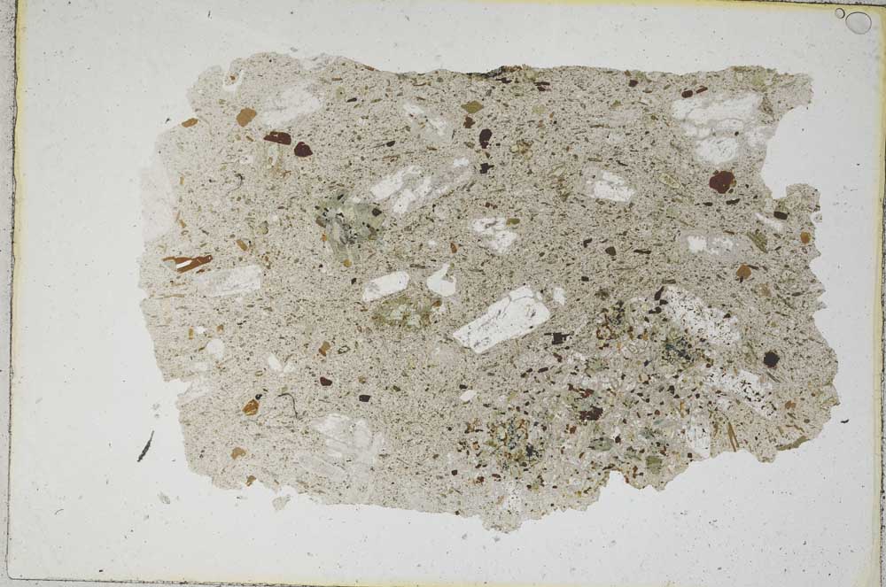 Plane Polarized, S9187