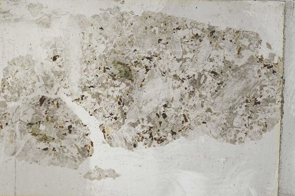 Plane Polarized, S9191