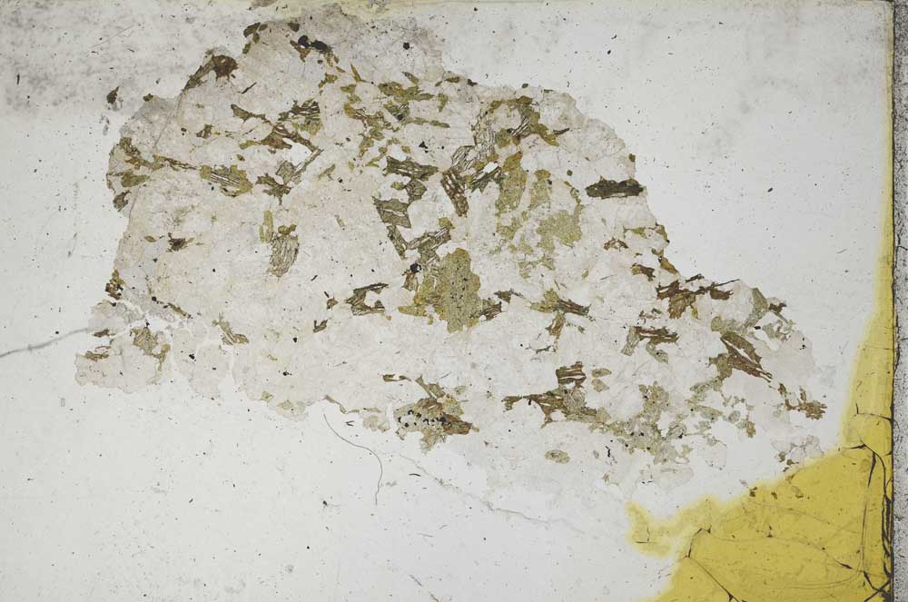 Plane Polarized, S9192
