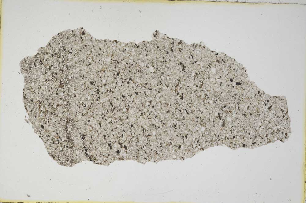 Plane Polarized, S9221