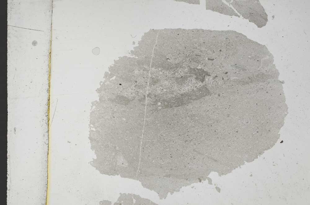 Plane Polarized, S9227/A