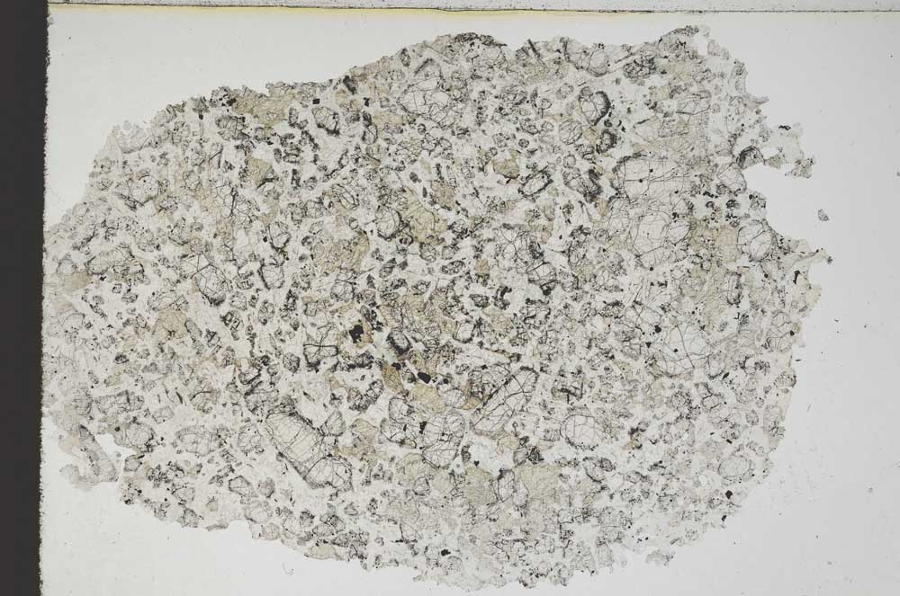 Plane Polarized, S9233