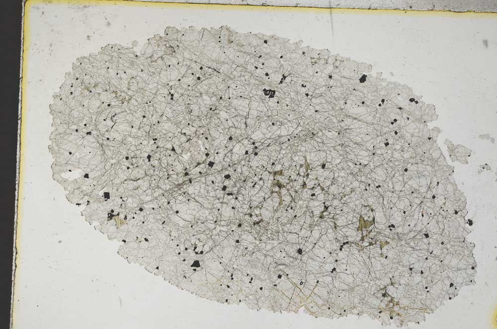 Plane Polarized, S9235