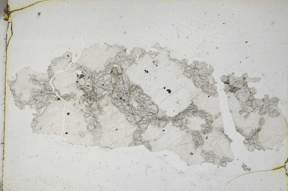 Plane Polarized, S9237