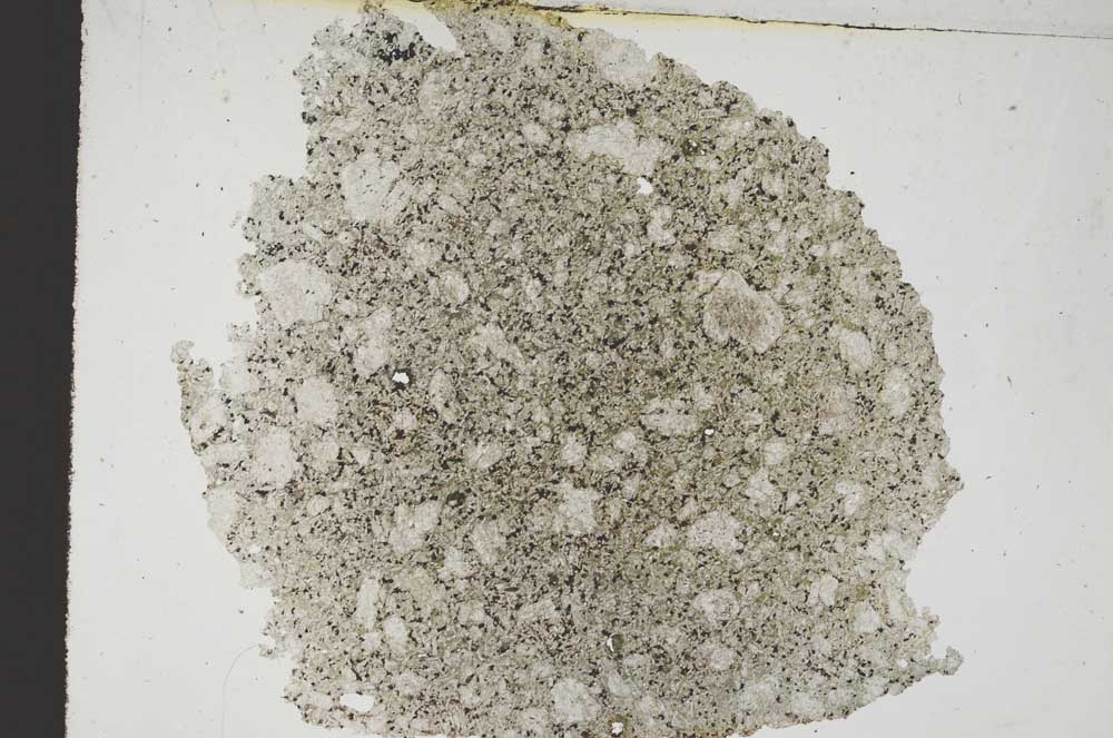 Plane Polarized, S9247