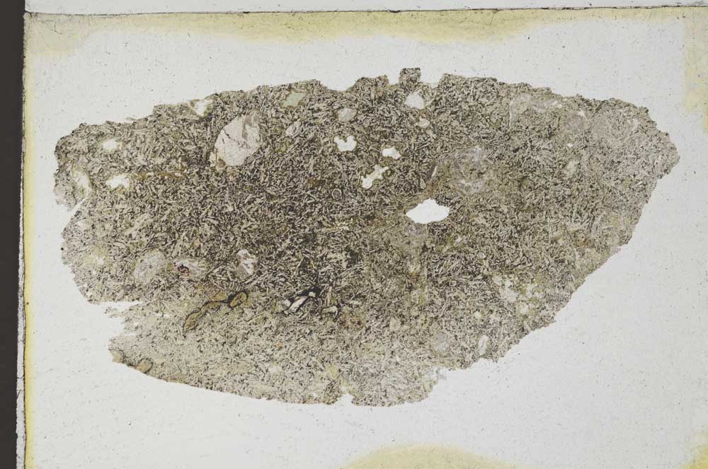 Plane Polarized, S9248