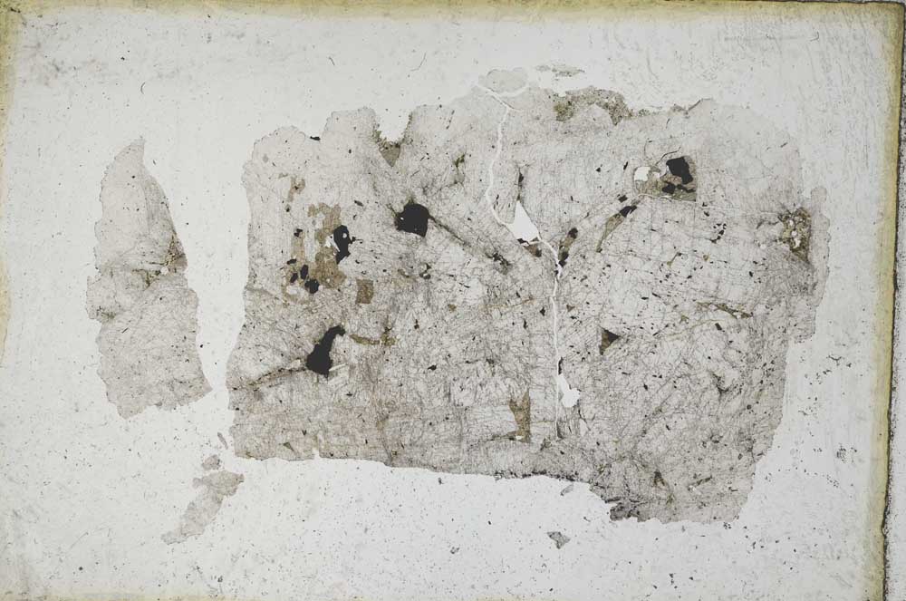 Plane Polarized, S9253