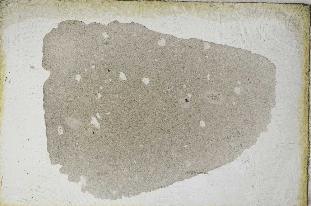 Plane Polarized, S9259