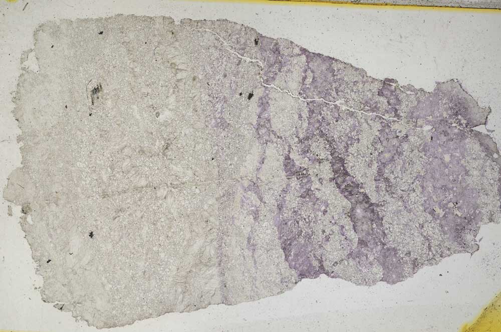 Plane Polarized, S9261