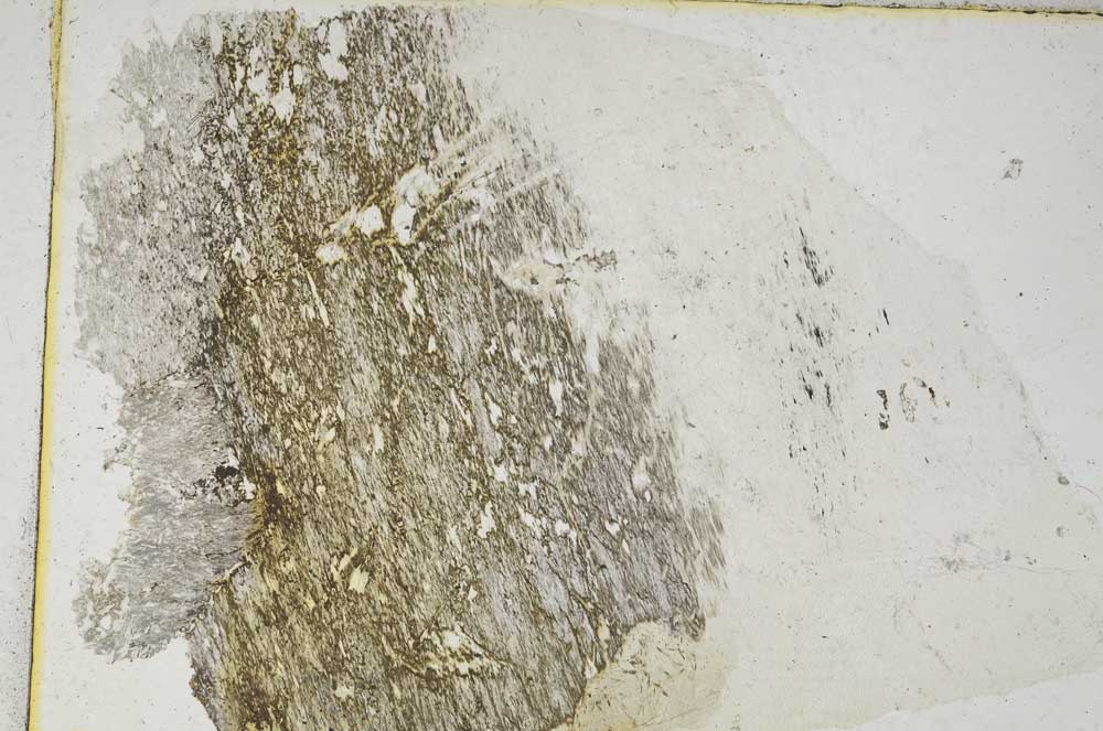 Plane Polarized, S9263