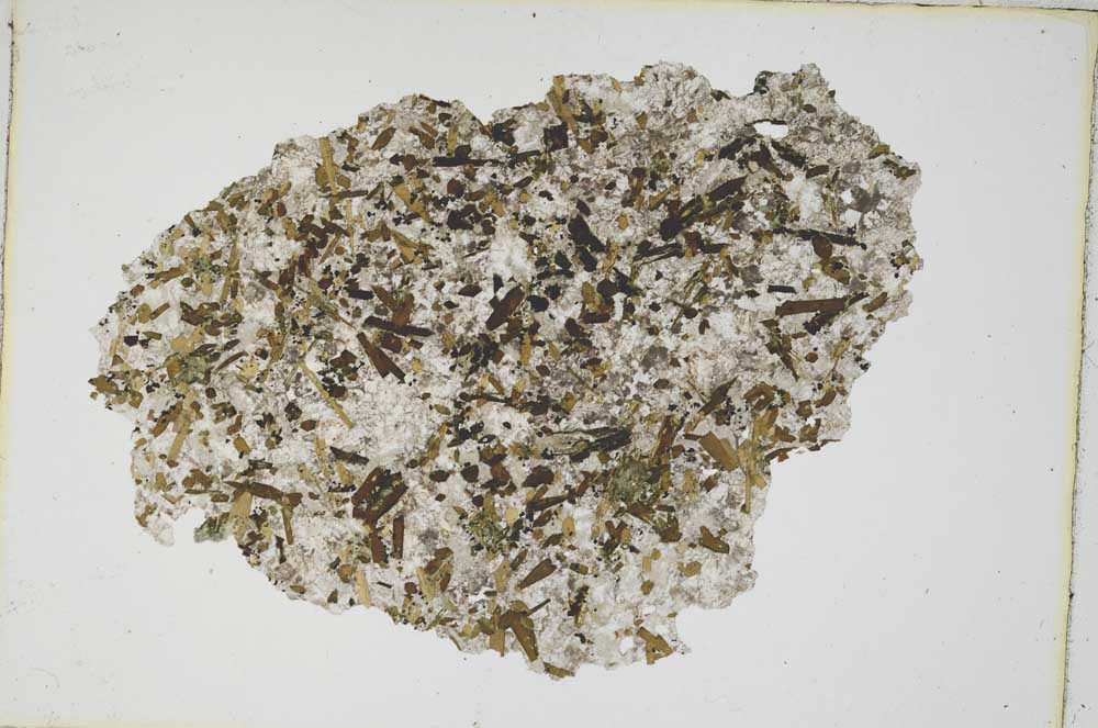 Plane Polarized, S9298