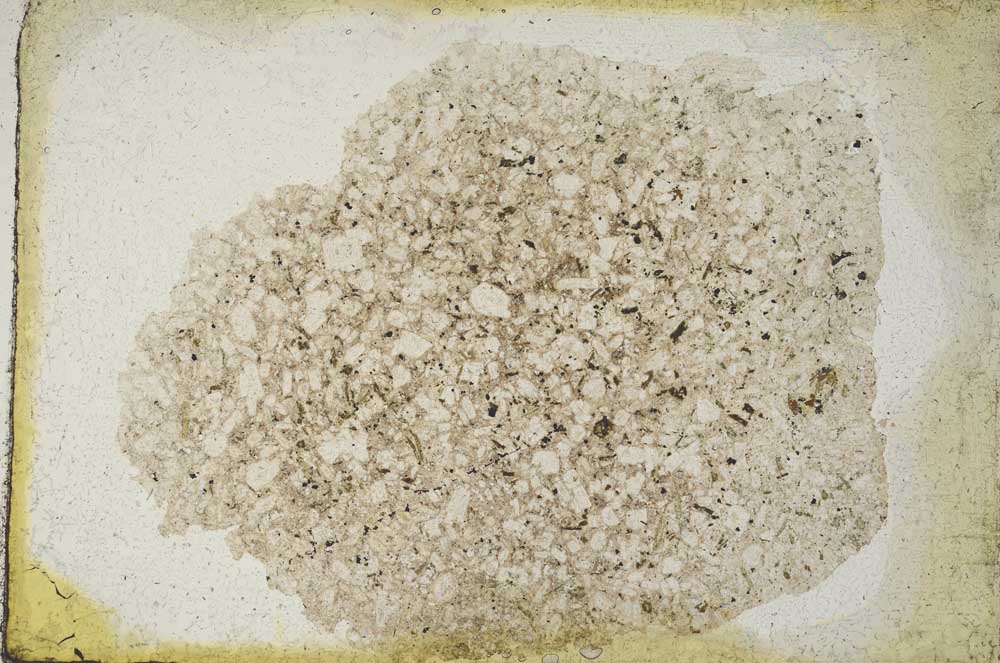 Plane Polarized, S9304