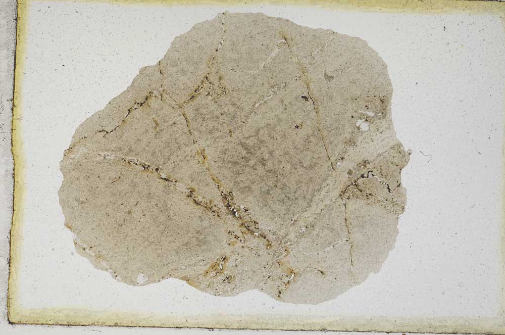 Plane Polarized, S9357