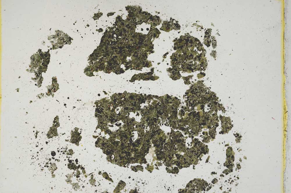 Plane Polarized, S9358