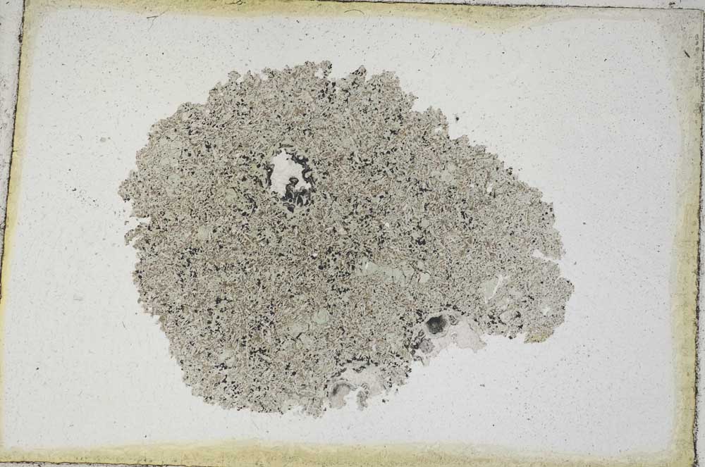 Plane Polarized, S9360