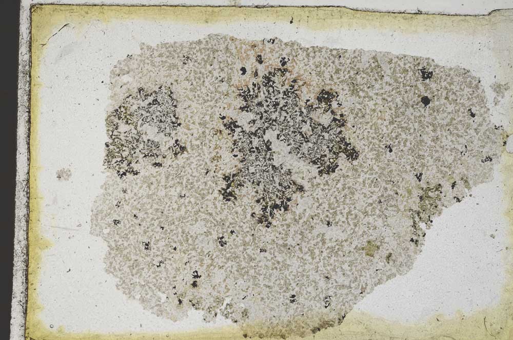 Plane Polarized, S9363