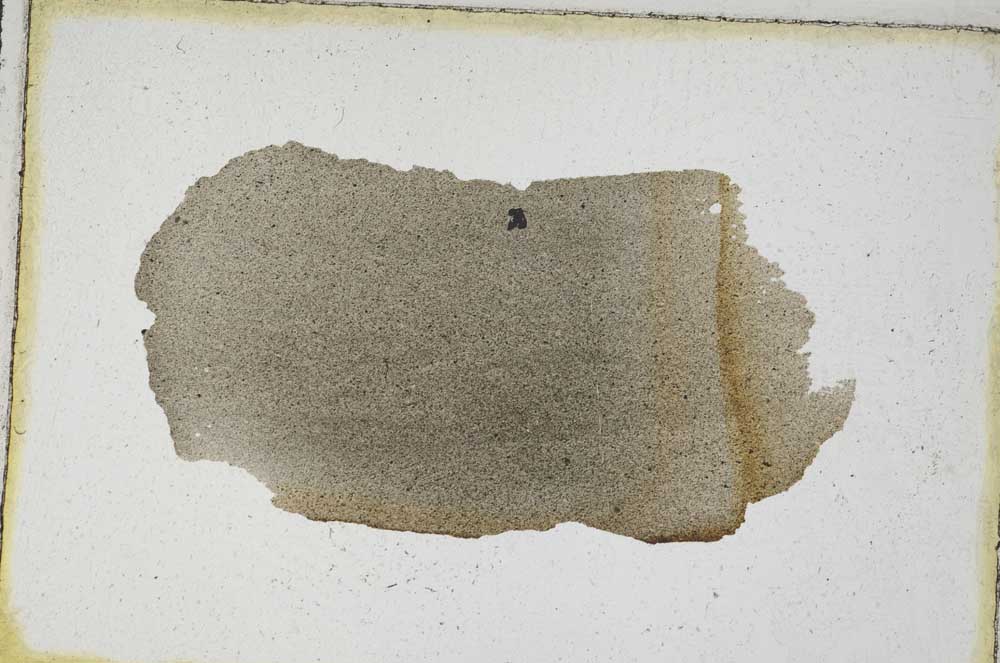 Plane Polarized, S9367