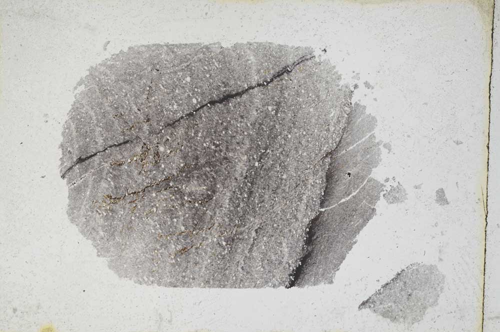 Plane Polarized, S9443