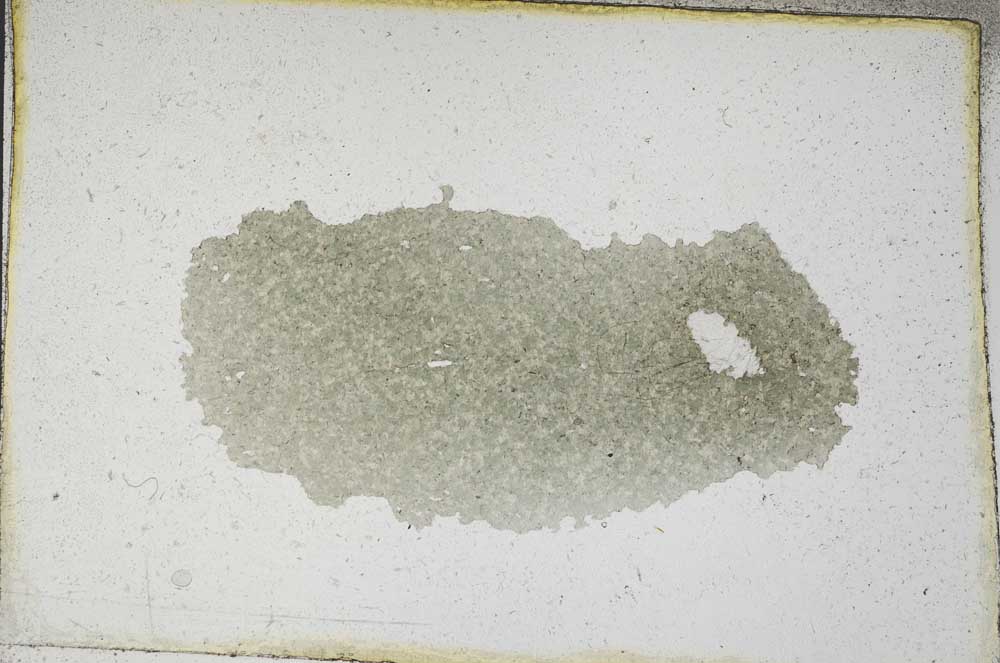 Plane Polarized, S9462