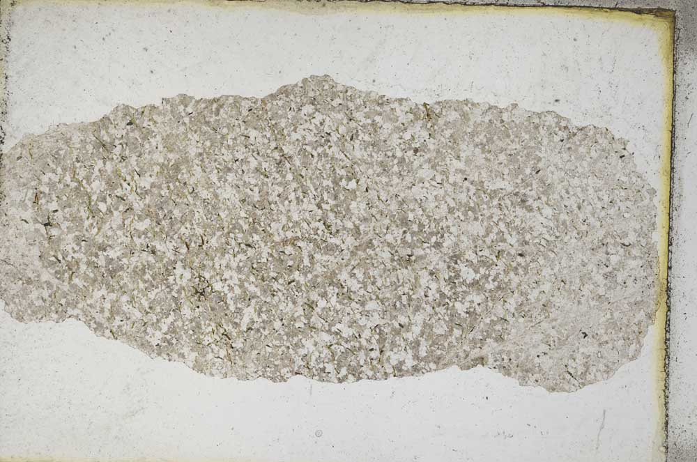 Plane Polarized, S9467